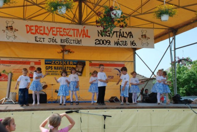 Derelyefesztivál - 2009
