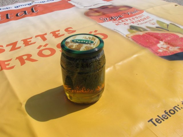 Derelyefesztivál - 2009