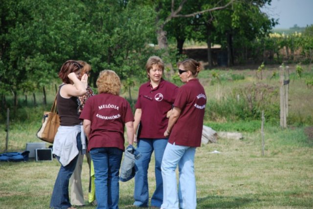 Derelyefesztivál - 2009