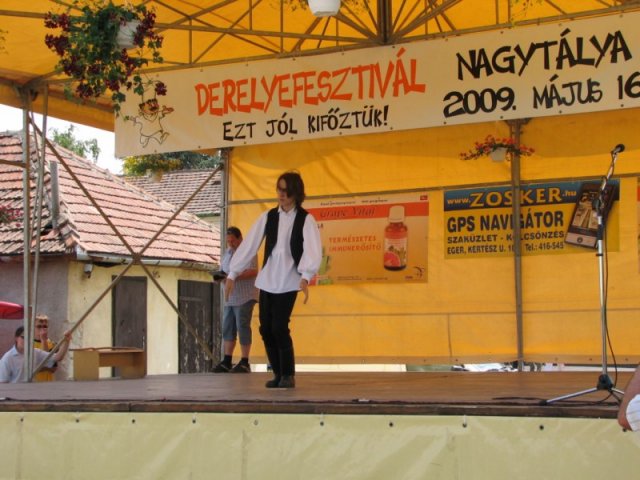 Derelyefesztivál - 2009