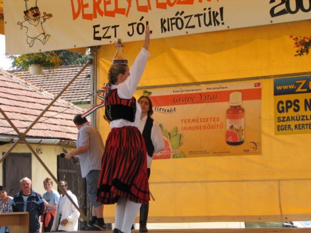 Derelyefesztivál - 2009