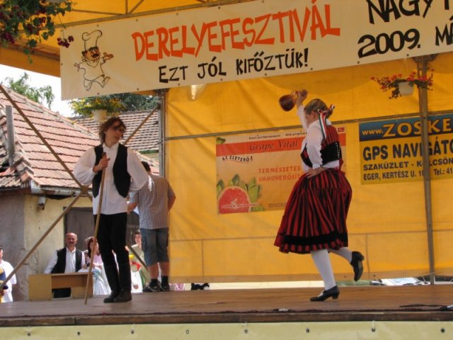 Derelyefesztivál - 2009