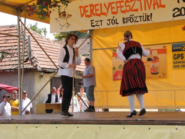 Derelyefesztivál - 2009