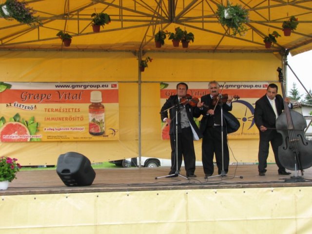 Derelyefesztivál - 2010