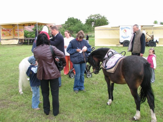 Derelyefesztivál - 2010