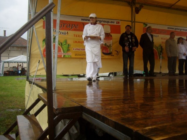 Derelyefesztivál - 2010