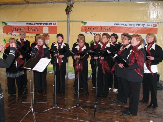 Derelyefesztivál - 2010