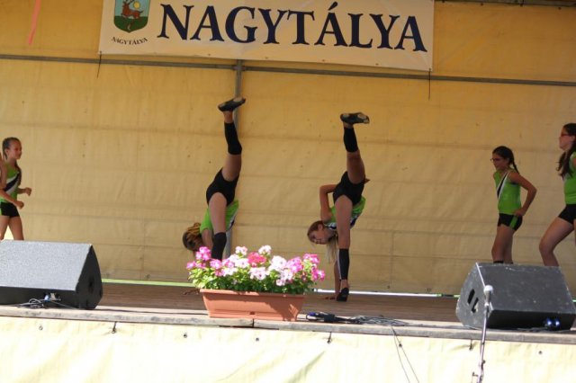 2016-gulyásfesztivál