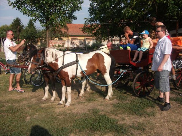 2017 3.Gulyásfesztivál