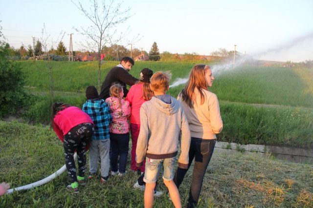 2017 Szent Iván éji tűzgyújtás, Májusfa állítás