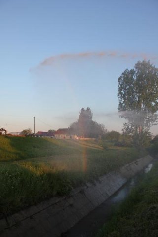 2017 Szent Iván éji tűzgyújtás, Májusfa állítás