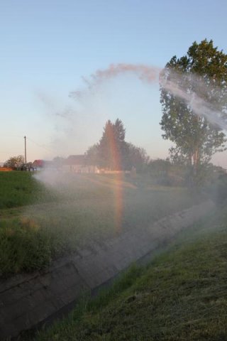2017 Szent Iván éji tűzgyújtás, Májusfa állítás