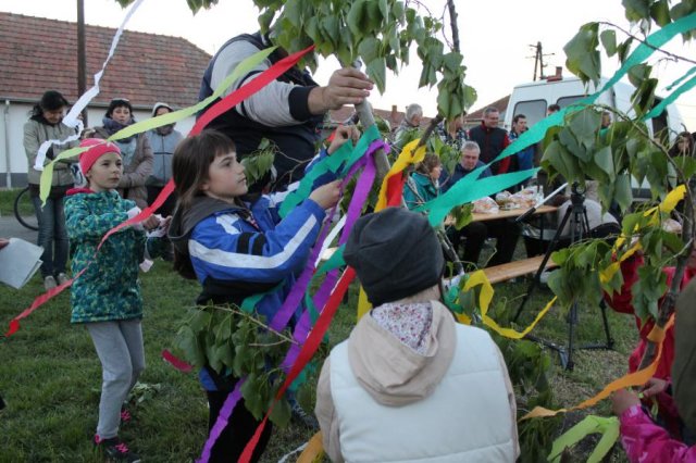 2017 Szent Iván éji tűzgyújtás, Májusfa állítás