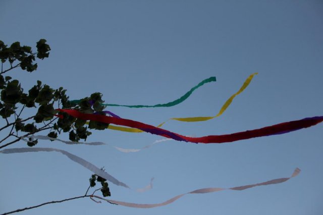 2017 Szent Iván éji tűzgyújtás, Májusfa állítás