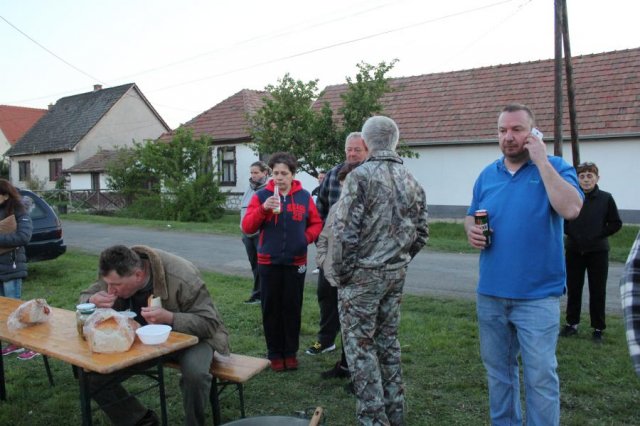 2017 Szent Iván éji tűzgyújtás, Májusfa állítás