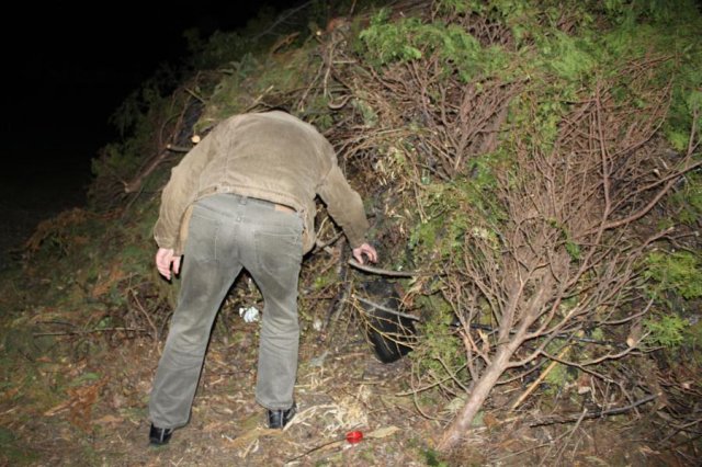 2017 Szent Iván éji tűzgyújtás, Májusfa állítás