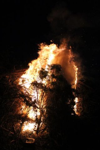 2017 Szent Iván éji tűzgyújtás, Májusfa állítás