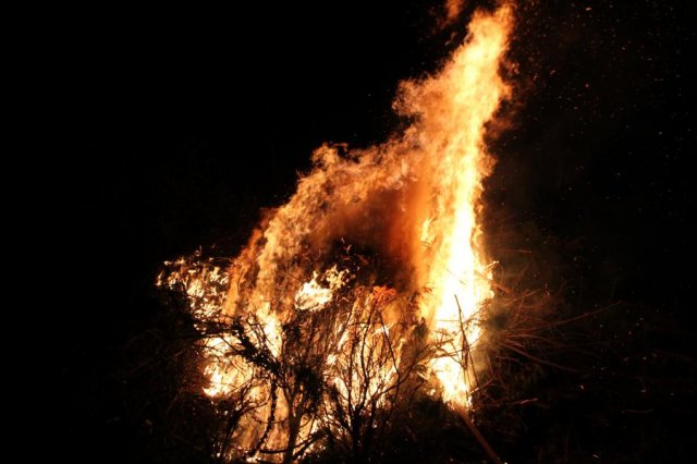 2017 Szent Iván éji tűzgyújtás, Májusfa állítás