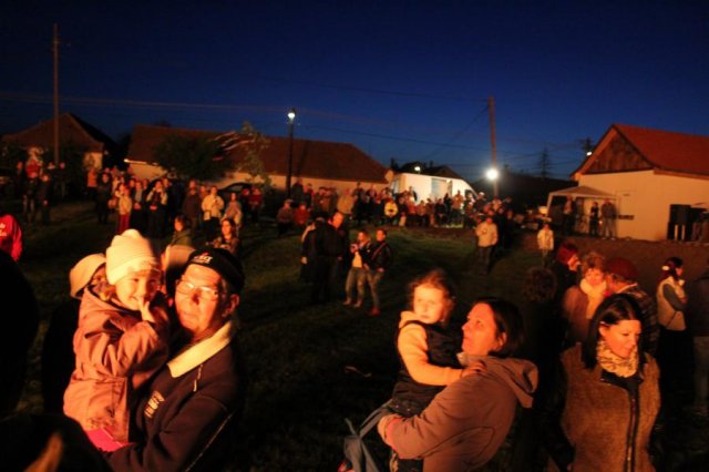 2017 Szent Iván éji tűzgyújtás, Májusfa állítás