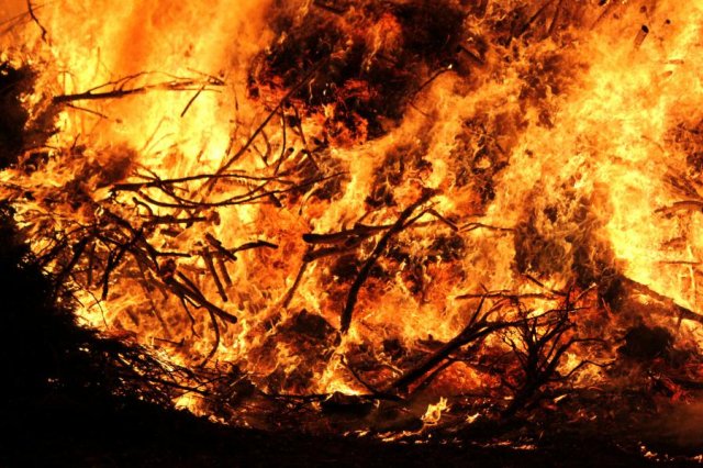 2017 Szent Iván éji tűzgyújtás, Májusfa állítás