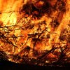 2017 Szent Iván éji tűzgyújtás, Májusfa állítás