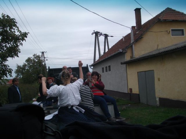 2017 Szüreti felvonulás