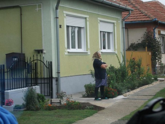 2017 Szüreti felvonulás