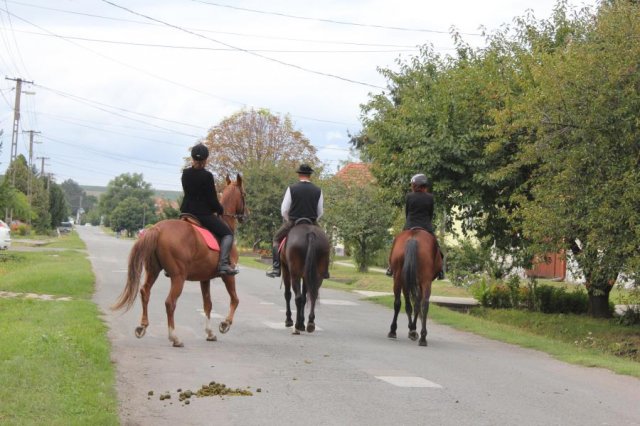 2017 Szüreti felvonulás