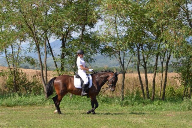 2018- IV.Gulyásfesztivál