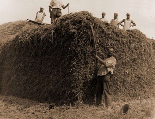 viii._7._-01_newc903