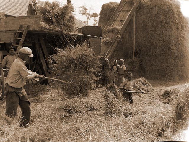 viii._7._-02_newc903