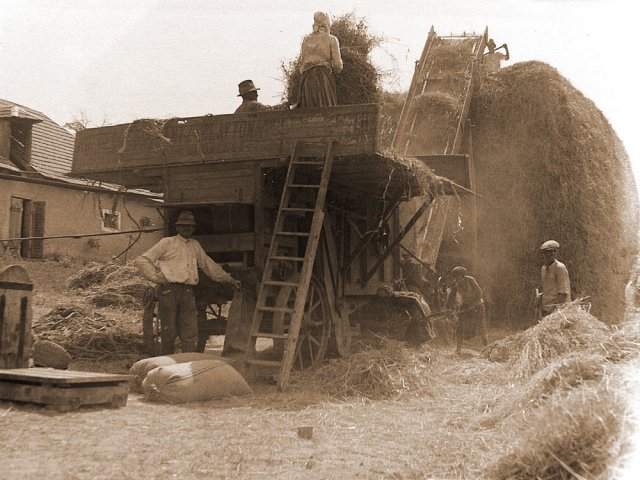 viii._7._-05_newc903