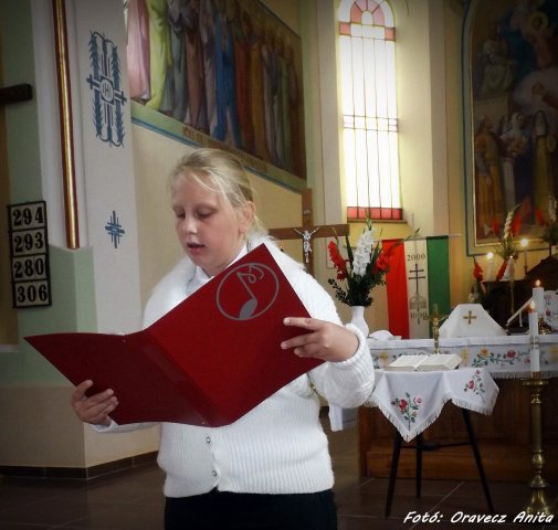Augusztus 20. 2015