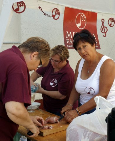 Gulyásfesztivál 2015