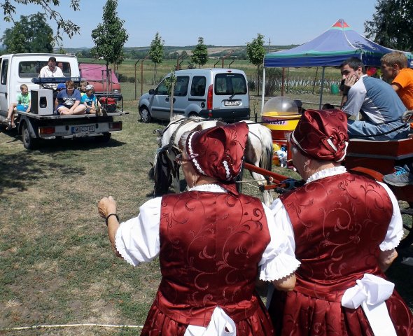 Gulyásfesztivál 2015