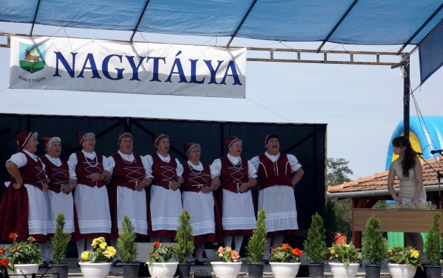 Gulyásfesztivál 2015