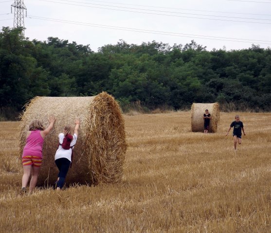 Szabadidős foglalkozások gyerekeknek 2015