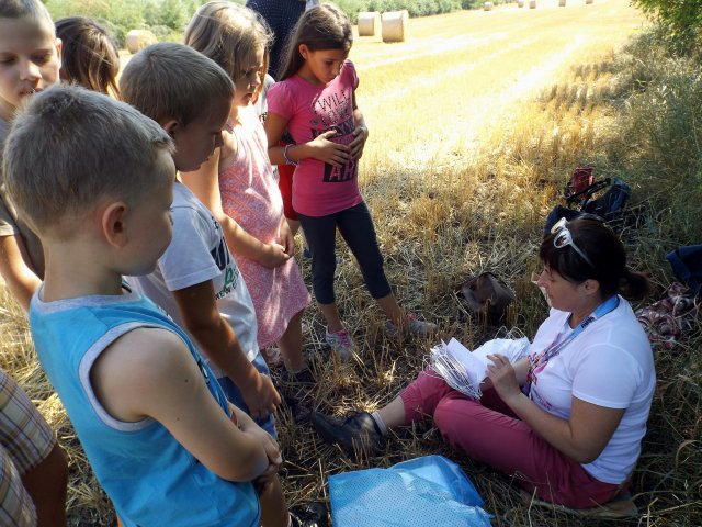 Szabadidős foglalkozások gyerekeknek 2015