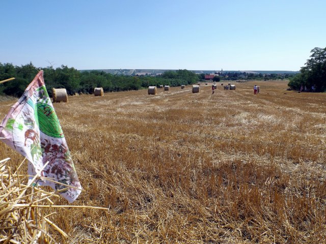 Szabadidős foglalkozások gyerekeknek 2015