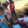 Szabadidős foglalkozások gyerekeknek 2015