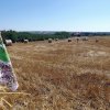 Szabadidős foglalkozások gyerekeknek 2015