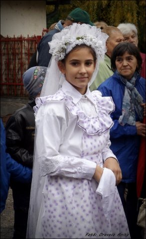 Szüreti Felvonulás