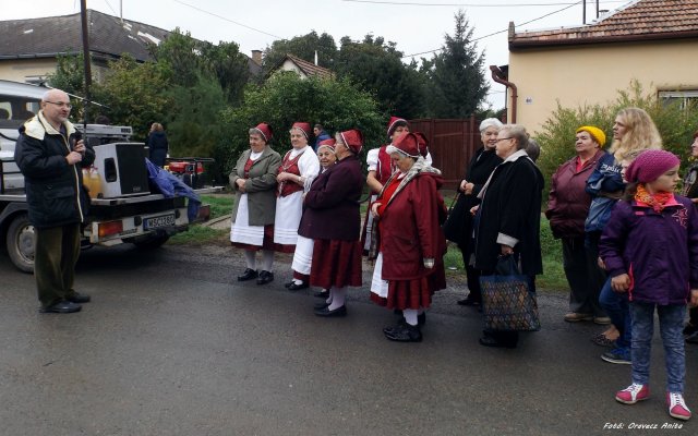 Szüreti Felvonulás