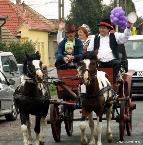 Szüreti Felvonulás